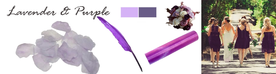 Shop by Colour Purple