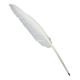 White Goose feather quill ball pen