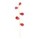 Burgundy Crystal Spray on Golden Stem
