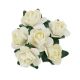 Pack of 144 Miniature Decorative Cream Tea Roses