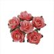 Pack of 144 Miniature Decorative Dusky Pink Tea Roses