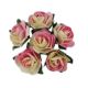 Pack of 144 Miniature Decorative Ivory & PInk Tea Roses