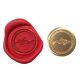 Single Wax sealing coin design 250 Ichthyosaurus Dinosaur Fossil design