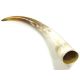 Polished Ankole Cattle Horn XXL