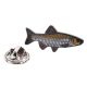 Chubb Fish Metal Enamel Lapel Pin Badge