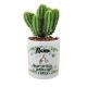 Personalised Plant Pot