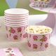 CLEARANCE OFFER 50% OFF Packof 8 Vintage Rose Ice Cream Tubs