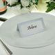 Silver Place Cards (Pack of 50)