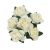 Pack of 144 Miniature Decorative Cream Tea Roses