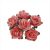 Pack of 144 Miniature Decorative Dusky Pink Tea Roses
