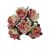 Pack of 144 Miniature Decorative Ivory & Peach Tea Roses