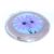 Two Beautiful Lilac Daisy Flowers Ladies Round  Handbag Mirror