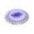 Delicate Blue Hibiscus Flowers Ladies Round Handbag Mirror