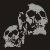 Rhinestone Crystal Iron on T Shirt Design - Two Skulls Design