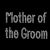 Rhinestone Crystal Iron on T Shirt Design - Double Line Mother of the Groom