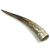 Polished Ankole Cattle Horn Large