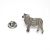 Butchers Cuts of Lamb / Sheep  Lapel Pin Badge