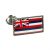 USA American HAWAII State Flag Lapel Pin Badge