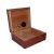 Burl Wood effect Semi Gloss 25 Capacity Cigar Humidor