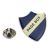 Blue Pageboy Retro Stag Night School Badge