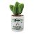 Personalised Plant Pot