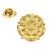 English Tudor Rose Gold plated Pewter Lapel Pin Badge