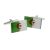 Algeria Flag Cufflinks