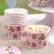 CLEARANCE OFFER 50% OFF Packof 8 Vintage Rose Ice Cream Tubs