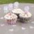 Pack of 20 Frills & Spills Cup Cake Picks