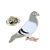 Racing Pigeon Lapel Pin Badge