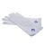 One Size Mens Plain White Cotton Gloves Blue Masonic Design (With G)
