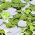 Apple Green & White Hearts Confetti