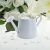 White Mini Metal Decotrative Watering Cans