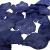 Dark Blue Wedding Petals (Pack of 200)  ***NOW 33% OFF REGULAR COST***