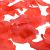 Pack of 200 Red Wedding petals ***NOW 33% OFF REGULAR PRICE***