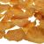 Gold Wedding Petals (Pack of 200) ***NOW 33% OFF REGULAR PRICE***