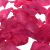 Hot Pink Wedding Petals (Pack of 200) ***NOW 33% OFF REGULAR PRICE***