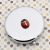 Ladybird Design Handbag Mirror (engravable)