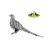 Standing Pheasant Bird English Pewter Lapel Pin Badge