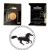 Single Wax sealing coin design 127 Equestrian Galloping Horse design