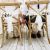 Elegant Bliss Bride & Groom Gold Chair Signs (ZNK1-019)